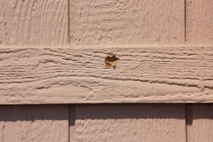 Bullet hole from one of the nearby units located across from the barricade. Daniel E. Beckham Photo. 
