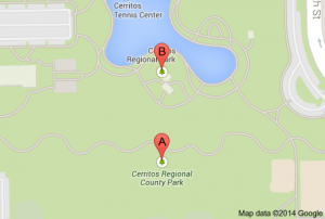Approximate location where the drowning took place at Cerritos Regional Park on Fathers Day afternoon.
