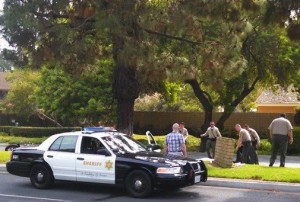 Members of the Cerritos Sheriff's Department inspect the scene of a deadly motorcycle accident on Bloomfield Avenue on Thursday afternoon. Randy Economy Photo