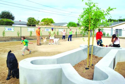 Area residents enjoy the new Flora Vista Dog Park Dog Park in Bellflower. The 16,000 square foot facility has three divided areas. The first of the three will be a small dog park at 3,800 square feet; the other is for large dogs measuring 11,700 square feet and a final separation run as an introduction area. The City owns the land, at 9203 Flora Vista Street in Bellflower, but had leased the area to Hollywood Sports Park. The Park was not utilizing this area, and the owners relinquished the space back to the City.
