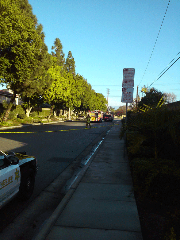 Photo of burned out car, reports are there was a charred body on the car and gunshots were heard before the flames.