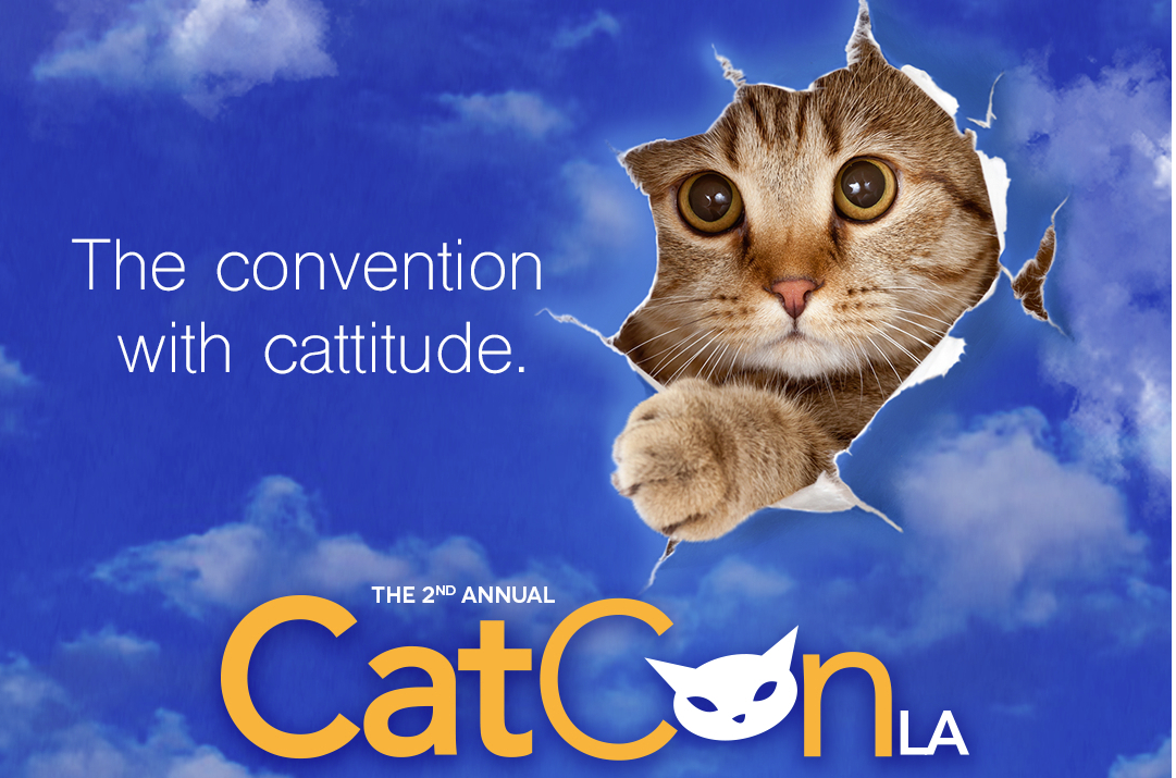 Screen Shot 2016-06-09 at 3.32.41 PM