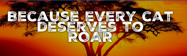 screen-shot-2016-09-21-at-12-34-49-pm