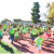 HAWAIIAN GARDENS’ THIRD ANNUAL 3K FUN RUN