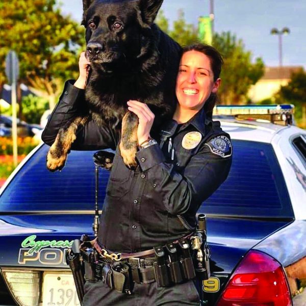 Cypress PD k9 Sem