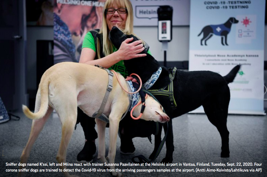 finland dogs coronavirus