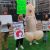 Los Angeles Activists hold ‘Small Dong March’ to end ‘shaming’ of tiny penises
