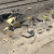 Amtrak Derails After Collision With Vehicle in Moorpark
