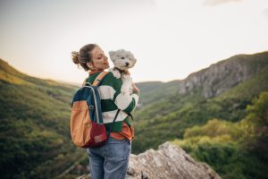 How Our Furry Friends Can Boost Our Mental Health
